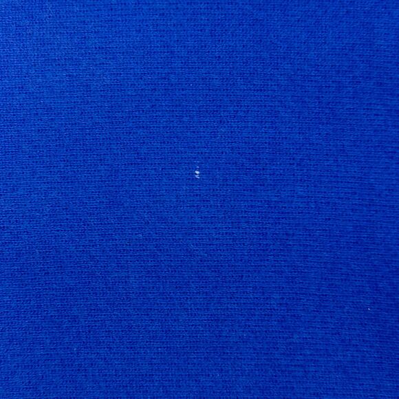 Champion Same In Any Language Hoodie Mens S Small Blue Hooded Sweatshirt Logo - Picture 7 of 10